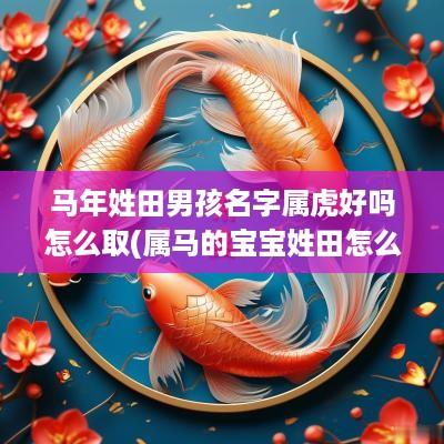 马年姓田男孩名字属虎好吗怎么取(属马的宝宝姓田怎么办)