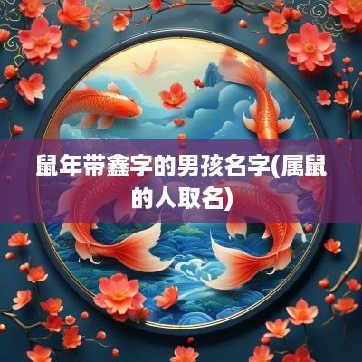 蛇年带鑫字的男孩名字(属鼠的人取名)