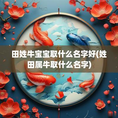 田姓牛宝宝取什么名字好(姓田属牛取什么名字)