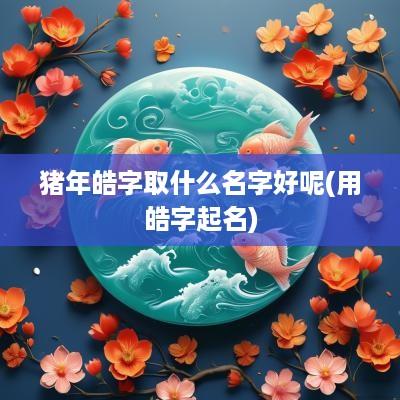 猪年皓字取什么名字好呢(用皓字起名)