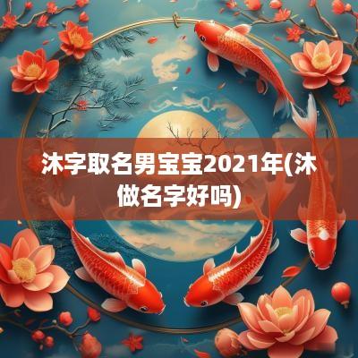 沐字取名男宝宝2025年(沐做名字好吗)
