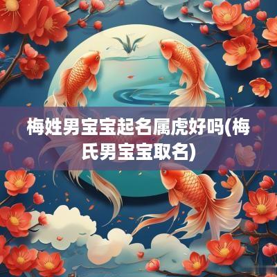 梅姓男宝宝起名属虎好吗(梅氏男宝宝取名)