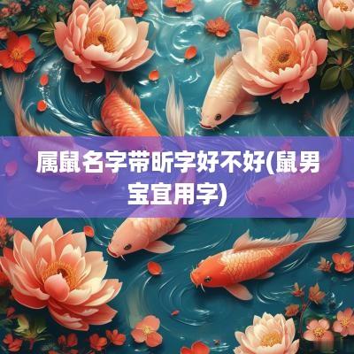 属鼠名字带昕字好不好(鼠男宝宜用字)