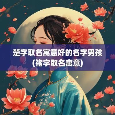楚字取名寓意好的名字男孩(褚字取名寓意)