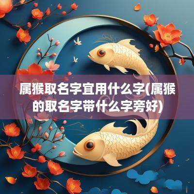 属猴取名字宜用什么字(属猴的取名字带什么字旁好)