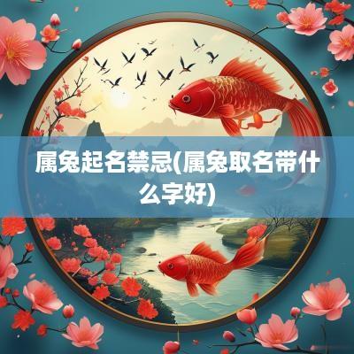 属兔起名禁忌(属兔取名带什么字好)