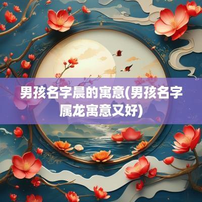 男孩名字晨的寓意(男孩名字属龙寓意又好)