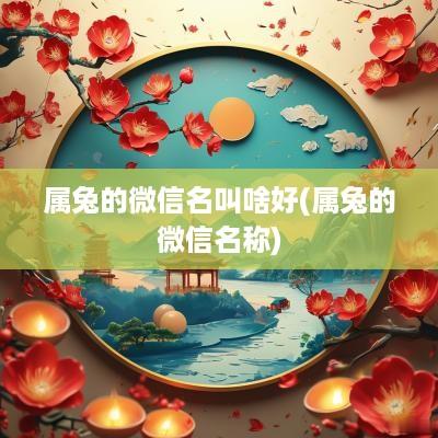 属兔的微信名叫啥好(属兔的微信名称)