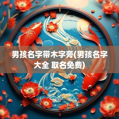 男孩名字带木字旁(男孩名字大全 取名免费)