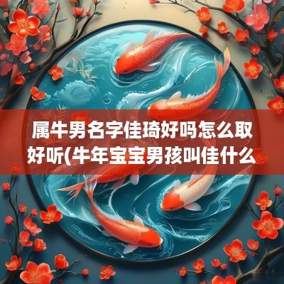 属牛男名字佳琦好吗怎么取好听(蛇年宝宝男孩叫佳什么)