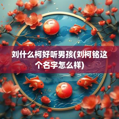 刘什么柯好听男孩(刘柯铭这个名字怎么样)