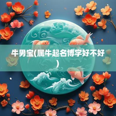 牛男宝(属牛起名博字好不好)