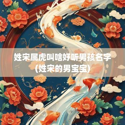 姓宋属虎叫啥好听男孩名字(姓宋的男宝宝)