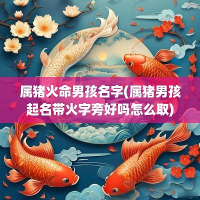 属猪火命男孩名字(属猪男孩起名带火字旁好吗怎么取)