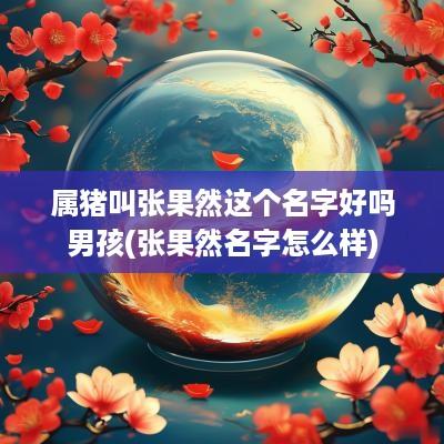 属猪叫张果然这个名字好吗男孩(张果然名字怎么样)