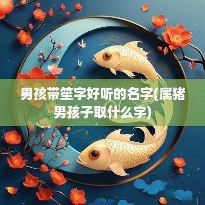 男孩带笙字好听的名字(属猪男孩子取什么字)