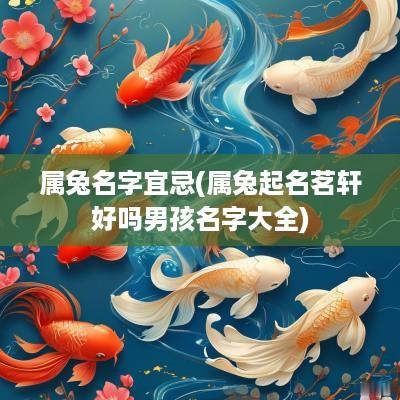 属兔名字宜忌(属兔起名茗轩好吗男孩名字大全)