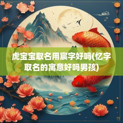 虎宝宝取名用宸字好吗(忆字取名的寓意好吗男孩)