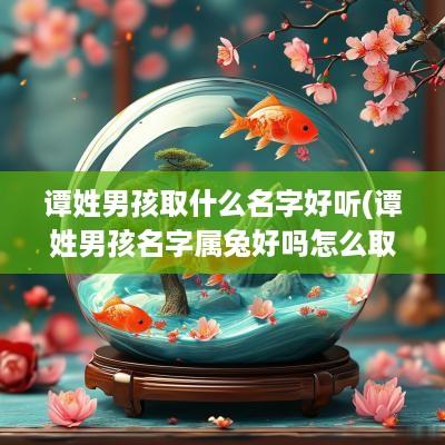 谭姓男孩取什么名字好听(谭姓男孩名字属兔好吗怎么取)