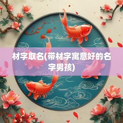 材字取名(带材字寓意好的名字男孩)