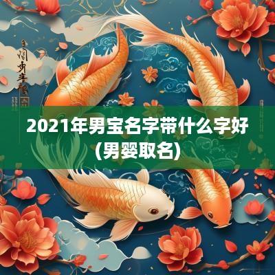 2025年男宝名字带什么字好(男婴取名)