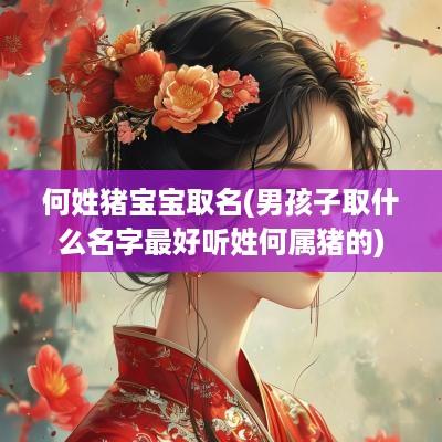 何姓猪宝宝取名(男孩子取什么名字最好听姓何属猪的)