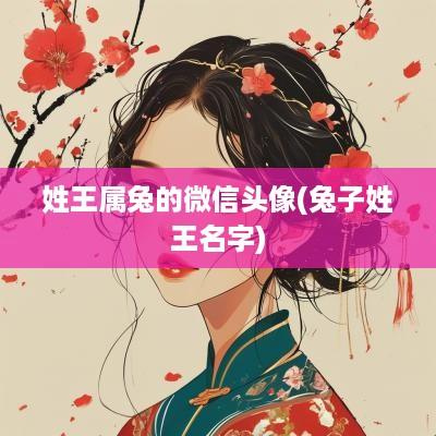 姓王属兔的微信头像(兔子姓王名字)