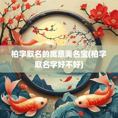 柏字取名的寓意美名宝(柏字取名字好不好)