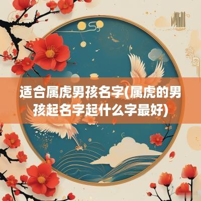 适合属虎男孩名字(属虎的男孩起名字起什么字最好)