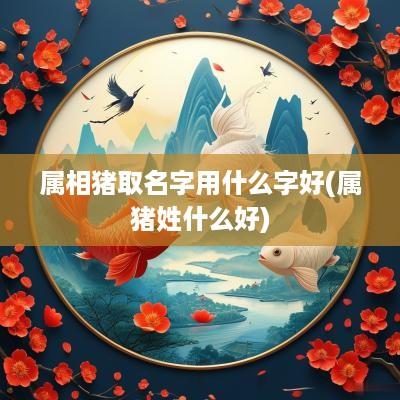 属相猪取名字用什么字好(属猪姓什么好)