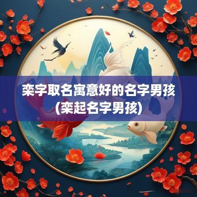 栾字取名寓意好的名字男孩(栾起名字男孩)