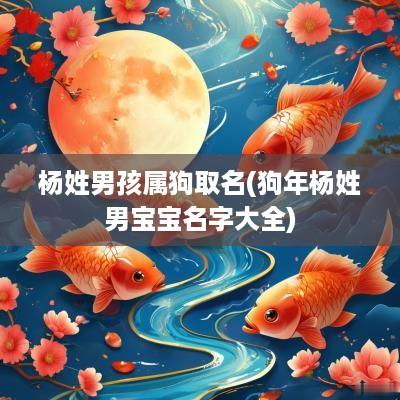 杨姓男孩属狗取名(狗年杨姓男宝宝名字大全)
