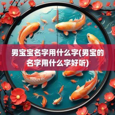 男宝宝名字用什么字(男宝的名字用什么字好听)