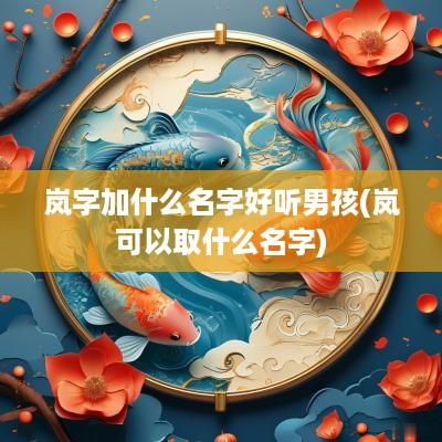 岚字加什么名字好听男孩(岚可以取什么名字)
