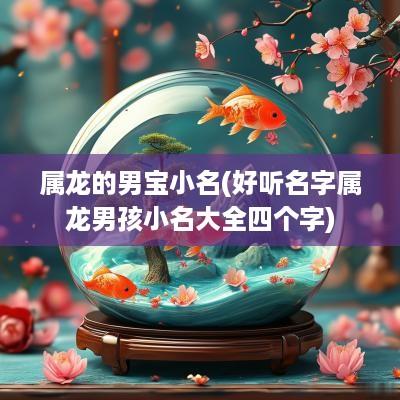 属龙的男宝小名(好听名字属龙男孩小名大全四个字)