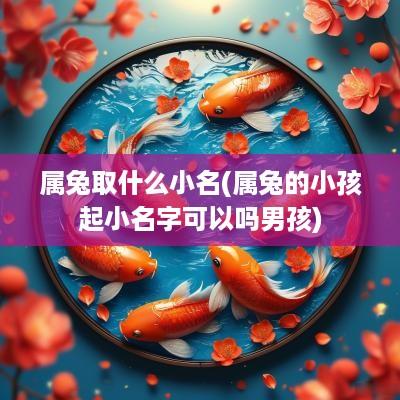 属兔取什么小名(属兔的小孩起小名字可以吗男孩)