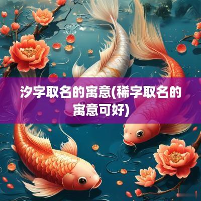 汐字取名的寓意(稀字取名的寓意可好)