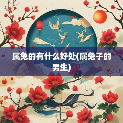 属兔的有什么好处(属兔子的男生)