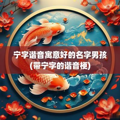 宁字谐音寓意好的名字男孩(带宁字的谐音梗)