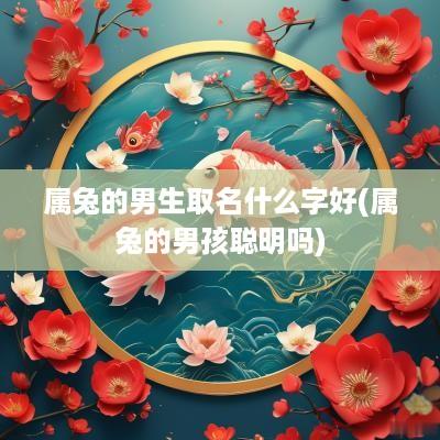 属兔的男生取名什么字好(属兔的男孩聪明吗)