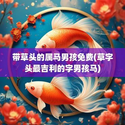 带草头的属马男孩免费(草字头最吉利的字男孩马)