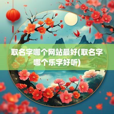 取名字哪个网站最好(取名字哪个乐字好听)