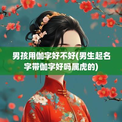 男孩用伽字好不好(男生起名字带伽字好吗属虎的)