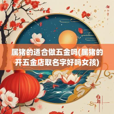 属猪的适合做五金吗(属猪的开五金店取名字好吗女孩)