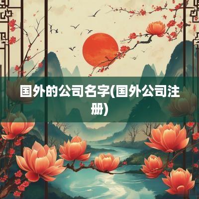 国外的公司名字(国外公司注册)