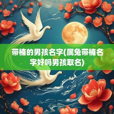 带楠的男孩名字(属兔带楠名字好吗男孩取名)
