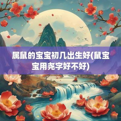 属鼠的宝宝初几出生好(鼠宝宝用尧字好不好)