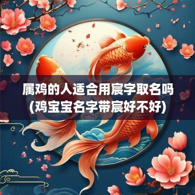 属鸡的人适合用宸字取名吗(鸡宝宝名字带宸好不好)
