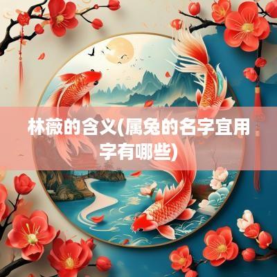 林薇的含义(属兔的名字宜用字有哪些)