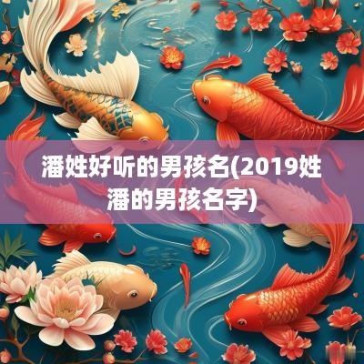潘姓好听的男孩名(2019姓潘的男孩名字)